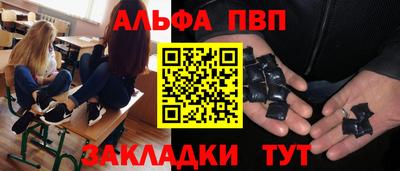 сатива Лесосибирск