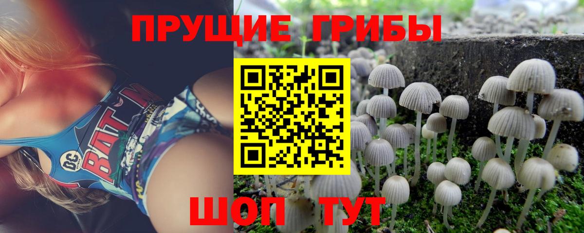 Псилоцибиновые грибы ЛСД  Вход с VPN  Псилоцибиновые грибы MAGIC MUSHROOMS  Верхняя Пышма 