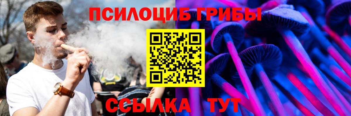 Псилоцибиновые грибы прущие грибы Верхняя Пышма